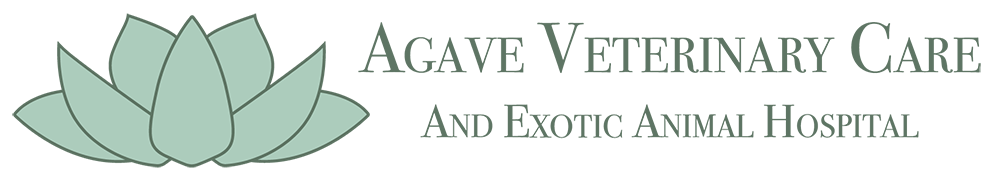 Agave Vet Care & Exotic Animal Hospital Logo